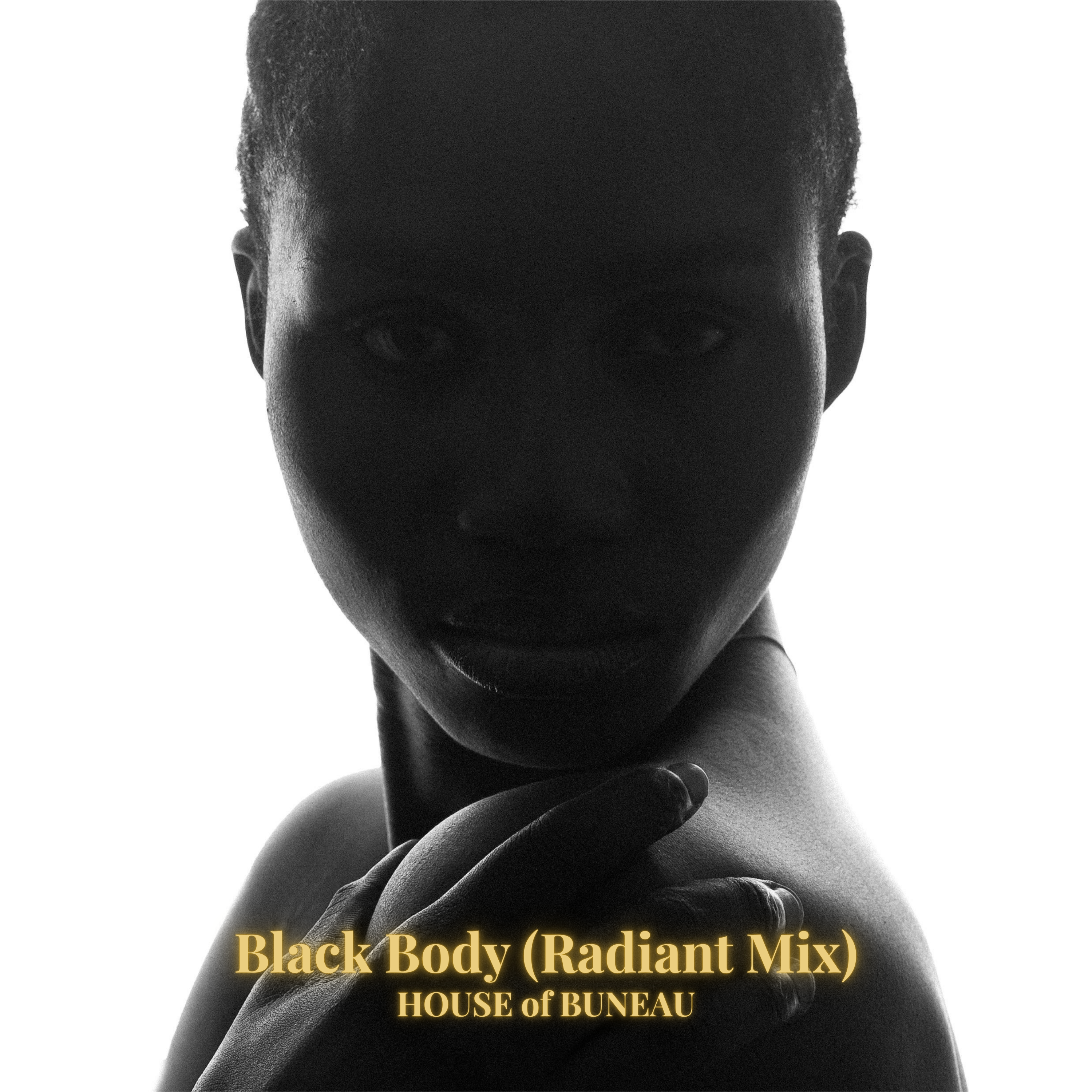 Black Body (Radiant Mix) Press Image — Velvet Realism